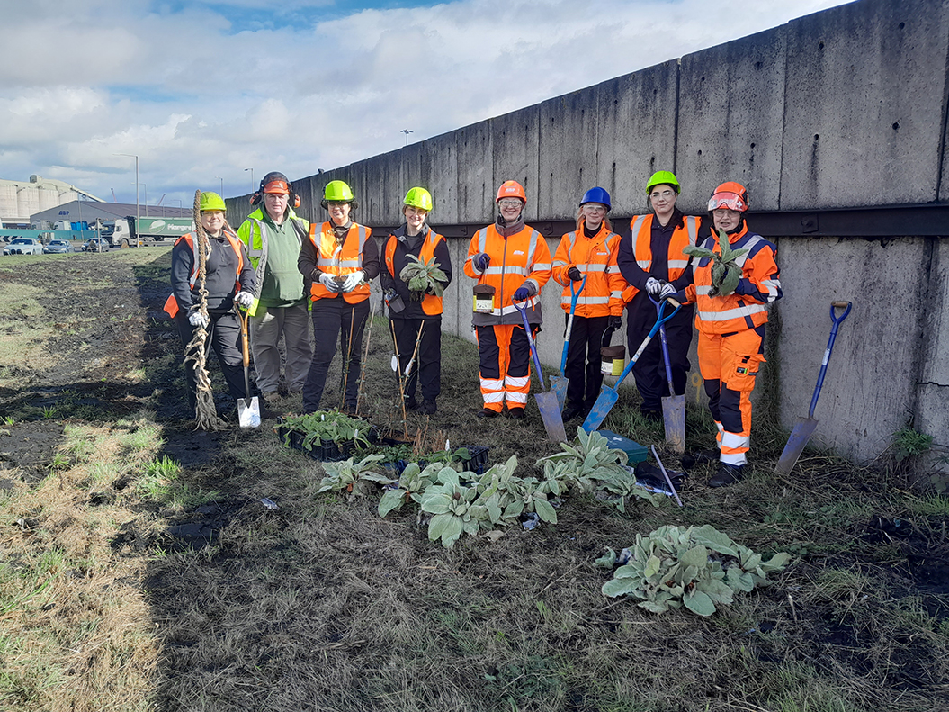 West Haven Way becomes a haven for wildlife thanks to partnership project at the Port of Immingham