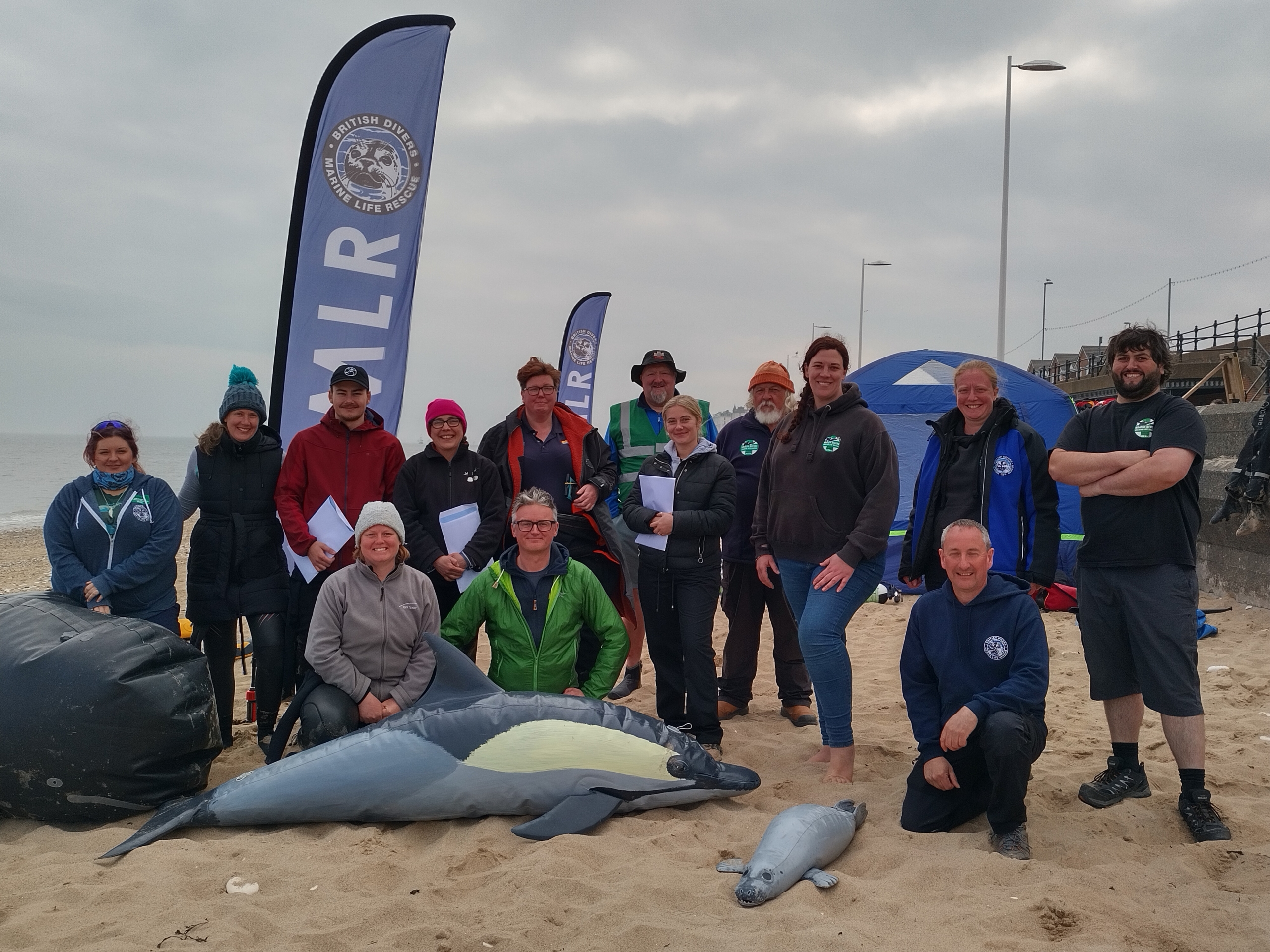 ABP Humber supports British Divers Marine Life Rescue